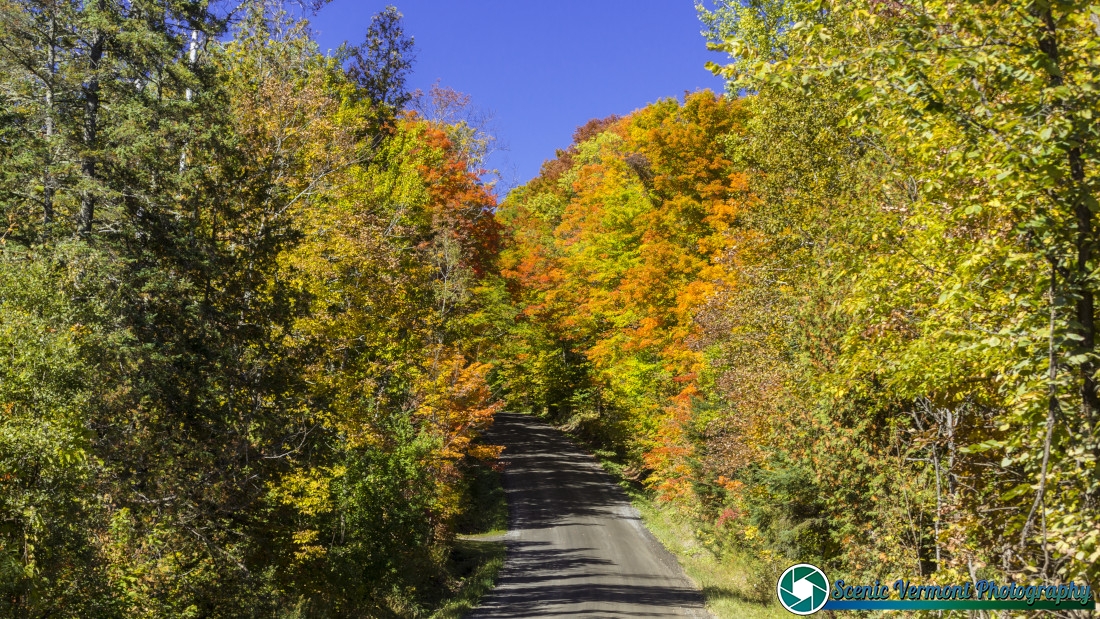 On a random road in the Northeast Kingdom 1 Burton-Hill-Road-Barton-Vermont-9-25-2025-9