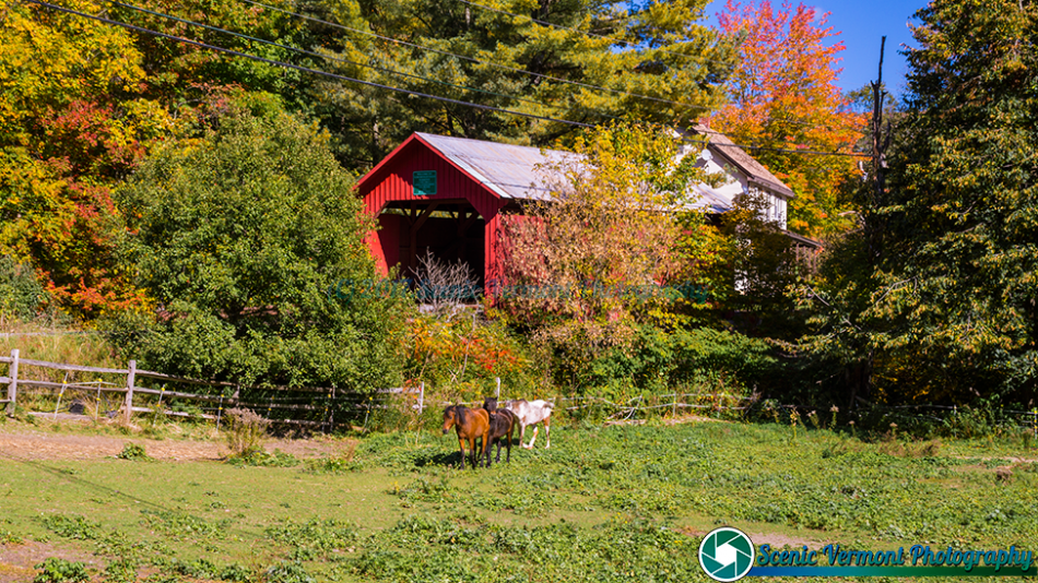 Northfield-Vermont-10-6-2016-59