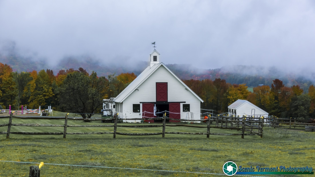 Senor-Road-Horse-Farm-Warren-Vermont-9-28-2026-3-Edit-Edit