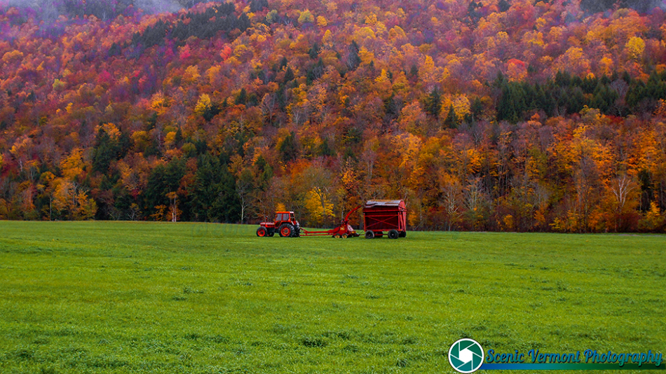 Look what I found! 19 Vermont-Foliage-10-14-2011-017