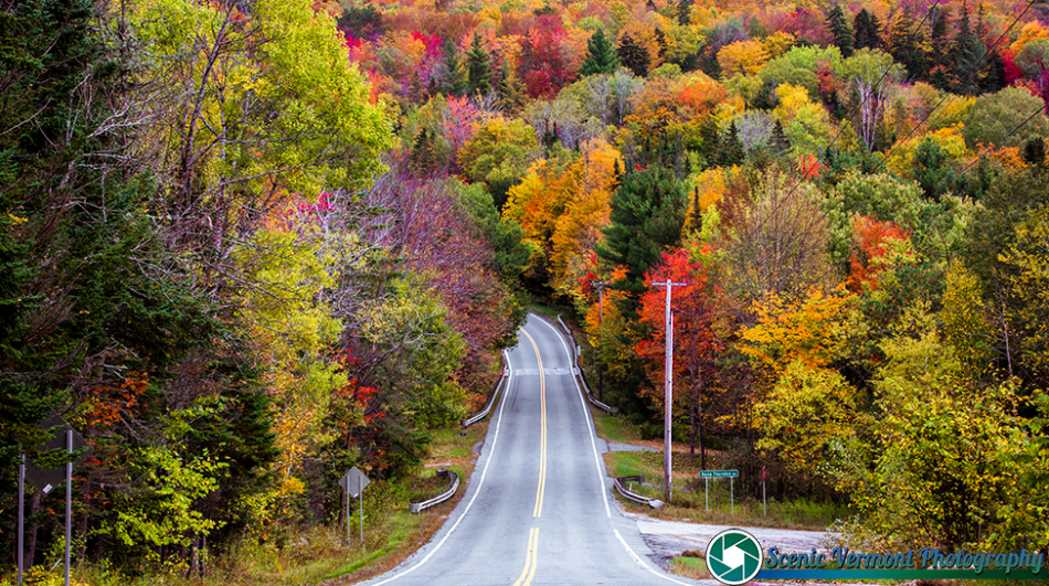 Vermont-Foliage-10-3-2019-5