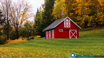 Berlin-Horse-Barn-10-11-2018-14