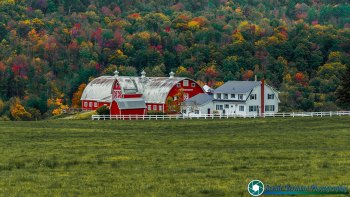 Diamond-Heart-Farm-9-22-2024-1