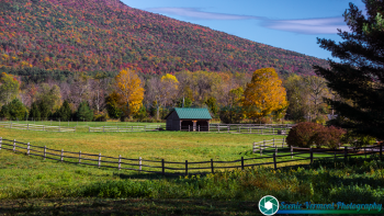 Dorset-Vermont-10-14-2017-49