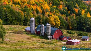 Hillside-Acres-Farm-Barnet-Vermont-October-4-2022-26