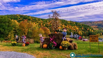 Hillside-Acres-Farm-Barnet-Vermont-October-4-2022-4
