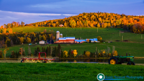 Lindstrom-Farm-Danville-Vermont-10-10-2019-33