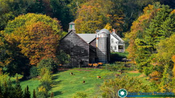 MISC-Vermont-9-28-2019-1