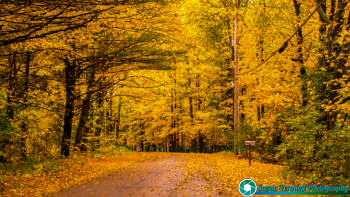 Montpelier-Vermont-10-11-2018-5