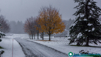 Montpelier-Vermont-Snow-11-10-2018-9