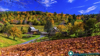 Sleepy Hollow Farm 10-18-2018-40-Edit-Edit