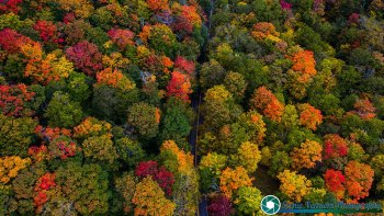 Stowe-Vermont-10-1-2021-56