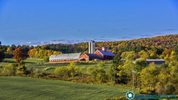 Tinker-Farm-Fletcher-Vermont-10-5-2024-7