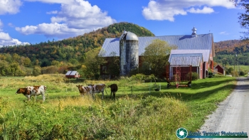 Tunbridge-Vermont-Covered-Bridges-9-26-2025-42