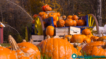 Vermont-10-21-2016-22
