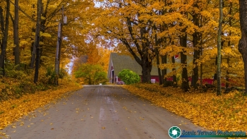 Vermont 10-21-2016-55 SVP