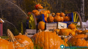 Vermont 10-21-2018-22