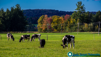 Vermont-9-28-2018-49
