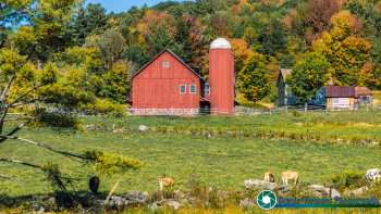 Weston-Vermont-9-27-2019-11