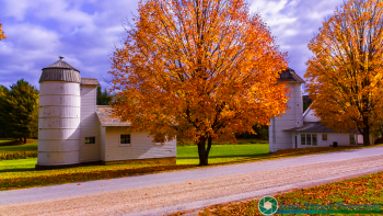 Whimsy-Farm-Arlington-Vermont-10-14-2017-28-2-Edit-Edit