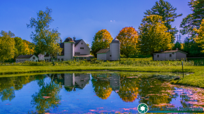 Whimsy-Farm-Arlington-Vermont-9-27-2019-2
