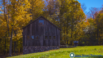 tn_BreadLoaf View Farm 10-8-2016-87
