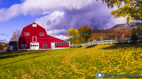 tn_Vermont Foliage A55 10-17-2015-110