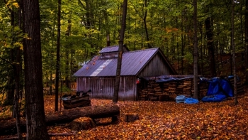 Sugarhouse at Shelburne Farms.