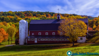 Greenrange-Farm-Sudbury-Vermont-10-12-2019-34-Edit-Edit