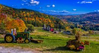 Hillside-Acres-Farm-Barnet-Vermont-10-6-2021-6