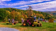 Hillside-Acres-Farm-Barnet-Vermont-October-4-2022-4