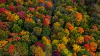 Stowe-Vermont-10-1-2021-56