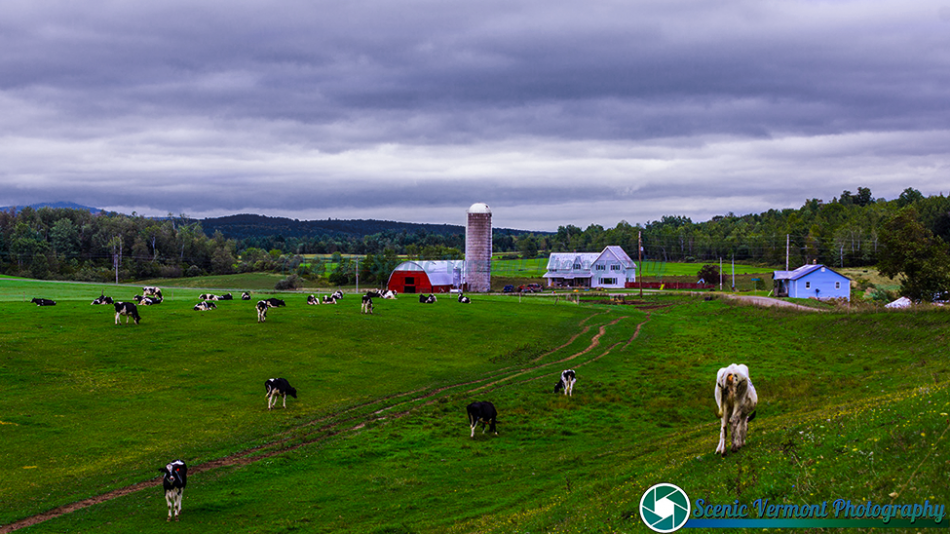 tn_Montgomery-Vermont-9-21-2018-29