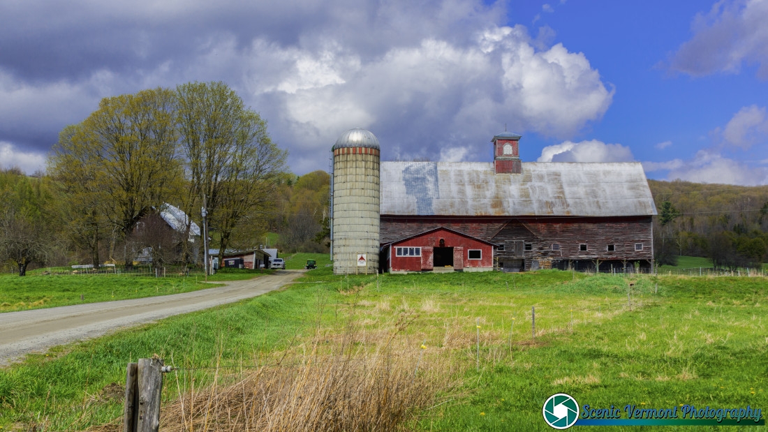 Cabot-Vermont-5-10-2026-16