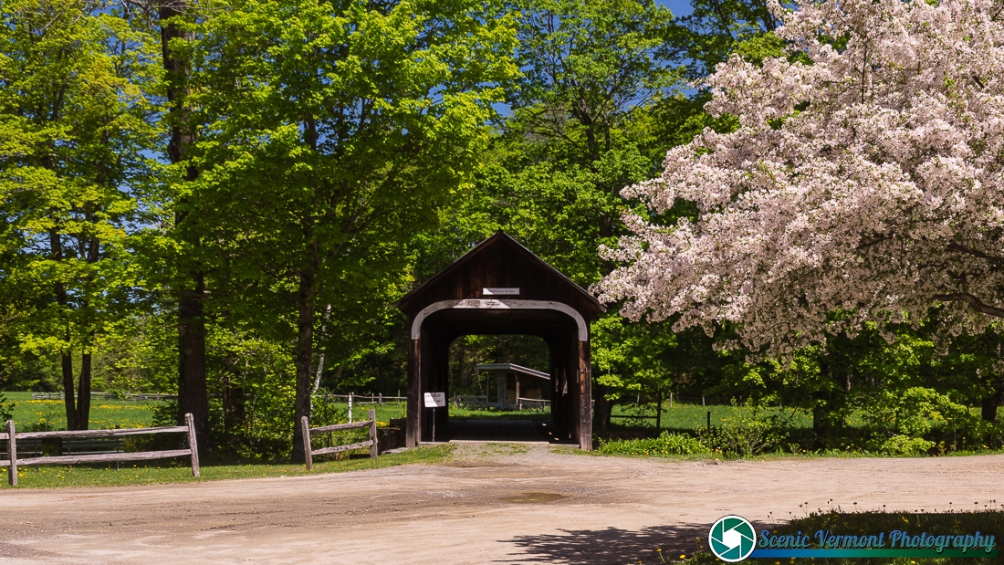 McWilliam Covered Bridge in Grafton Vermont 5 Grafton-Vermont-5-20-2017-137