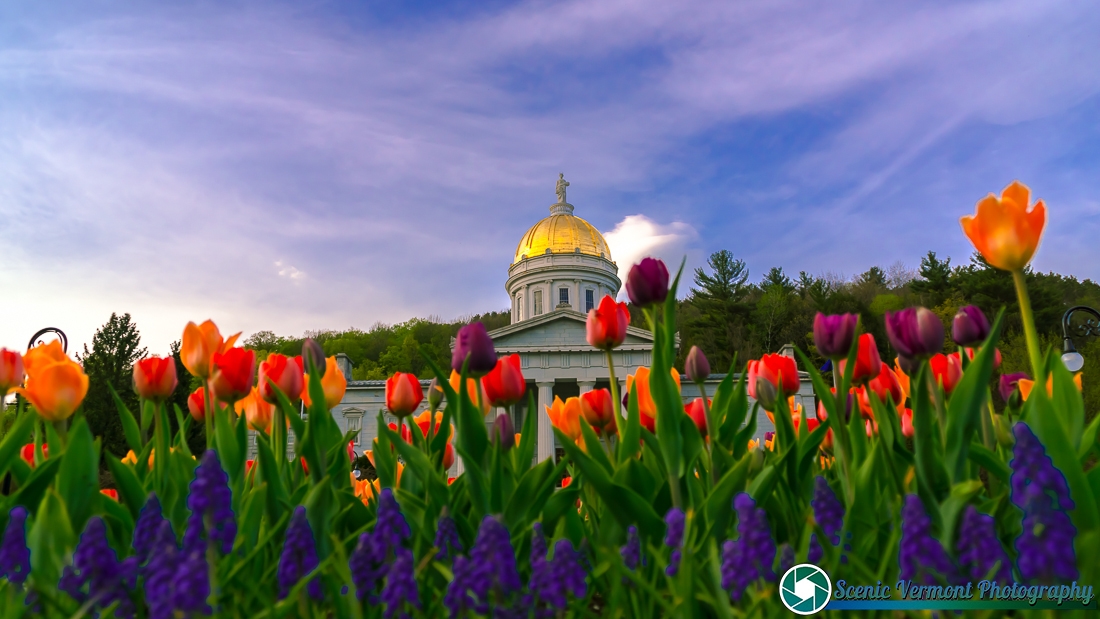 Vermont-Statehouse-Montpelier-5-9-2015-5-Edit-3