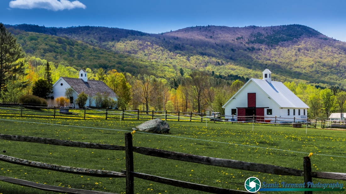 Warren-Vermont-5-17-2026-2-Edit