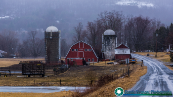 Arlington-Vermot-3-22-2019-25