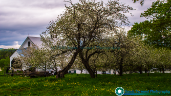 Around-Montpelier-5-19-2017-122