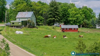 Berlin-Vermont-Farm-6-1-2024-5-Edit