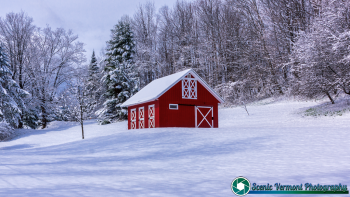Berlin-Vermont-Snow-5-9-2020-10