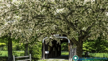Grafton Vermont 5-20-20-17-142