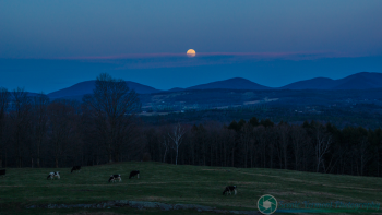MISC-Vermont-4-28-2018-115-SVP