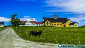 Montpelier Farms 5-27-2017-144