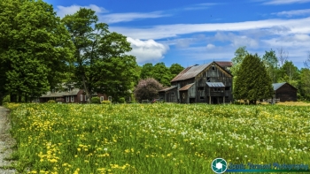 Montpelier Farms 5-27-2017-148