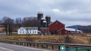 Pawlet-Vermont-Dairy-Farms-4-6-2019-10