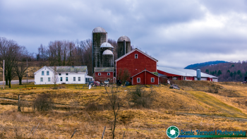 Pawlet-Vermont-Dairy-Farms-4-6-2019-14