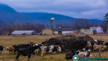 Pawlet-Vermont-Dairy-Farms-4-6-2019-17