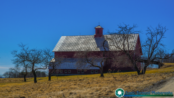 Vermont-Farms-3-20-2016-14-Edit-Edit
