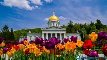 Vermont-Statehouse-Spring-Flowers-5-20-2016-114